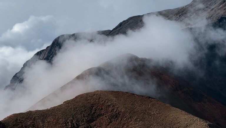 Estrategia digital para Expediciones